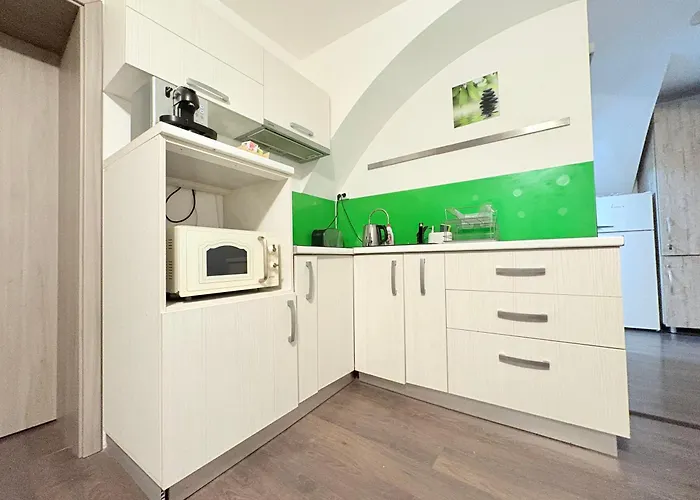 公寓 Old Poema 布拉索夫